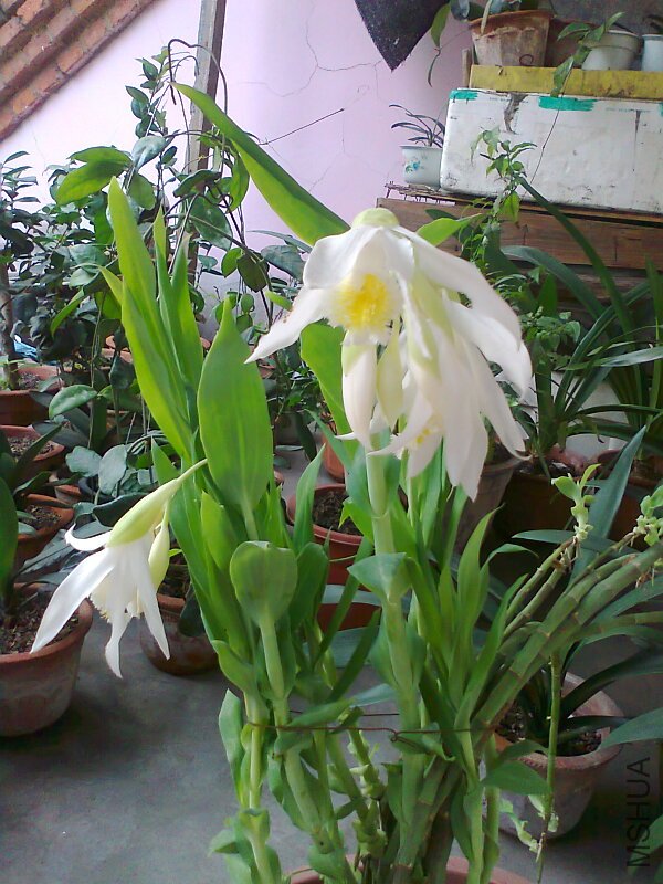 ��Ƭ0829.jpg
