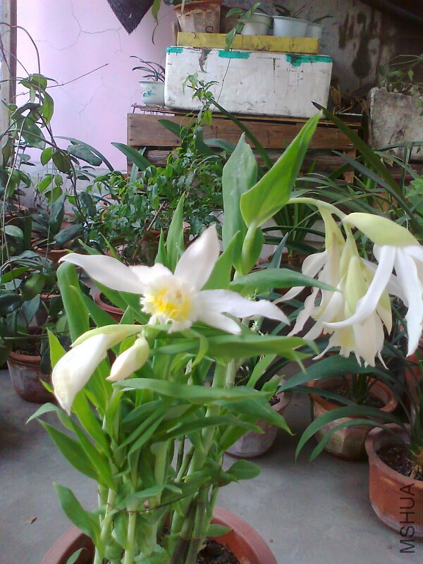 ��Ƭ0830.jpg