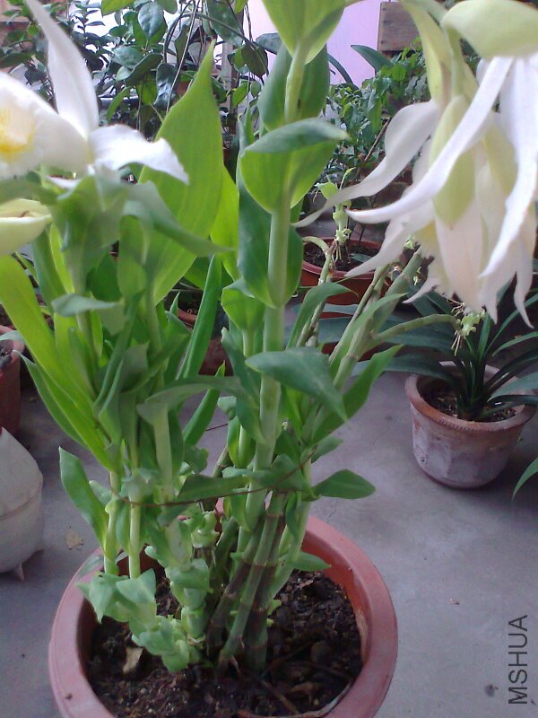 ��Ƭ0831.jpg