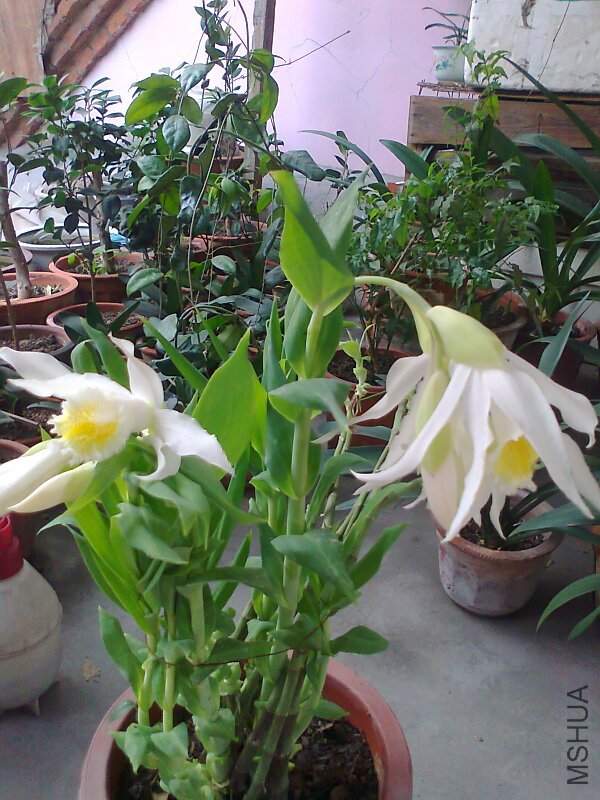 ��Ƭ0832.jpg