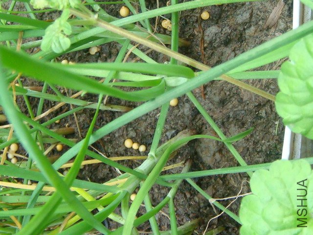 DSC02110.JPG