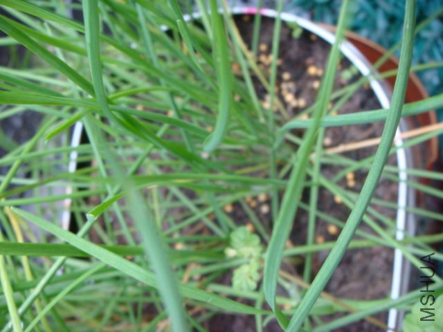 DSC02109.JPG