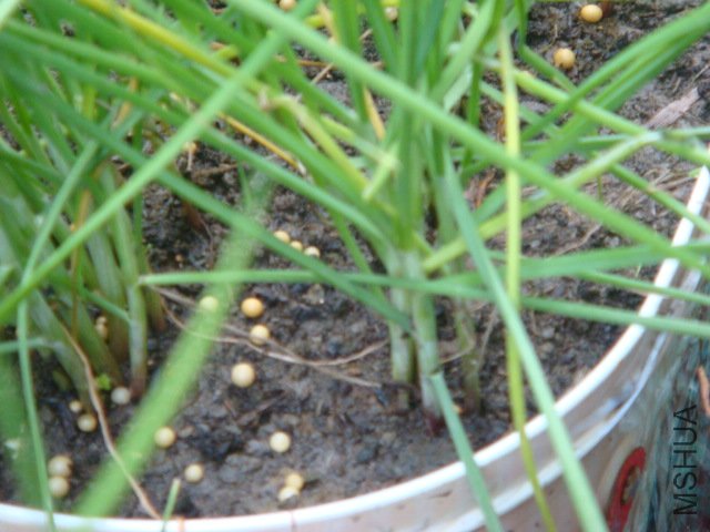 DSC02113.JPG