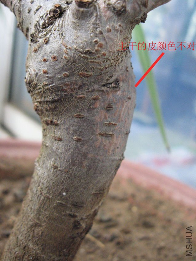 141709dnmubiixnnmd4ddd.jpg