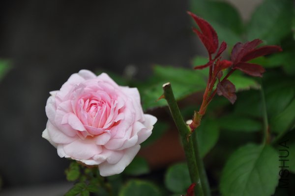 2011.6.22 006��ױ¥.jpg