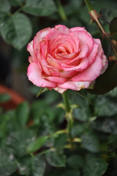 2011.6.22 017�ջ�.jpg