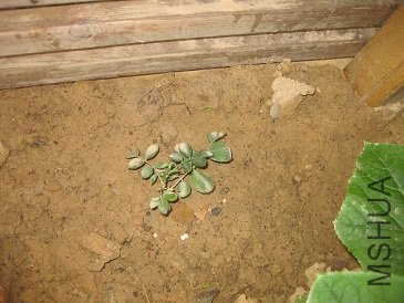 IMG_1939.JPG