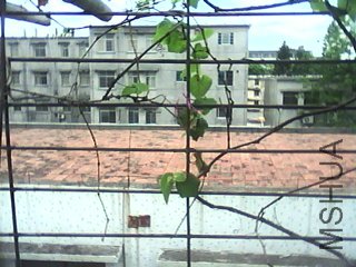 DSC_0000020.jpg