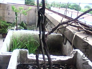 DSC_0000024.jpg