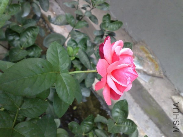 201106222105.jpg