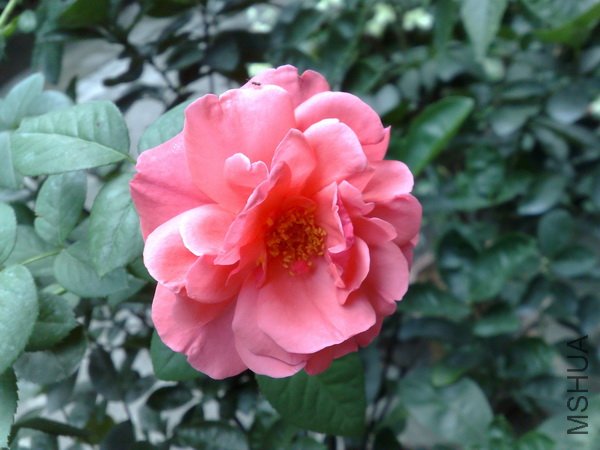 201106222104.jpg