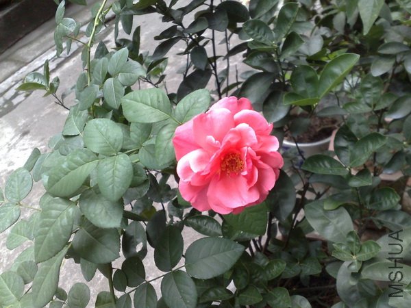 201106222103.jpg
