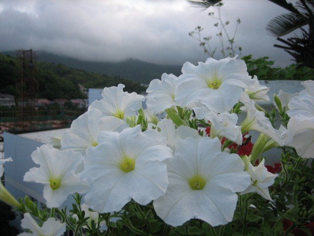 IMG_5169 (640x480).jpg