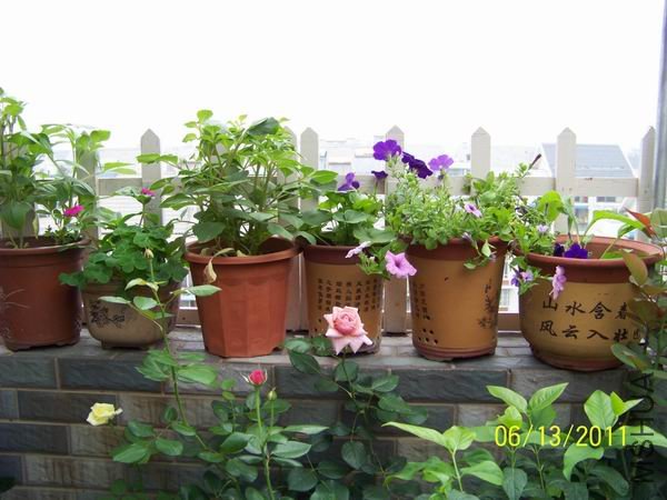 ������С 100_1127.jpg