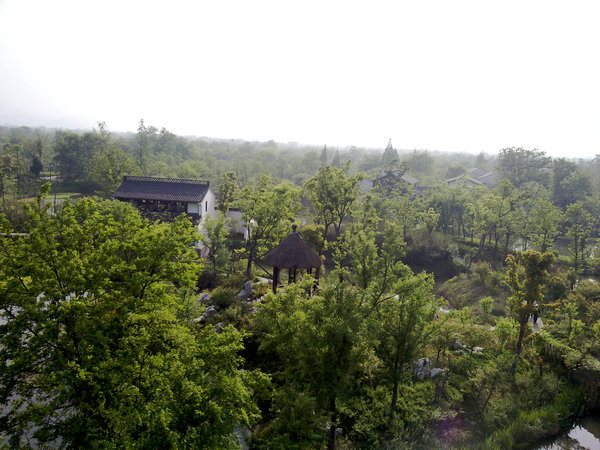 20090418899.jpg