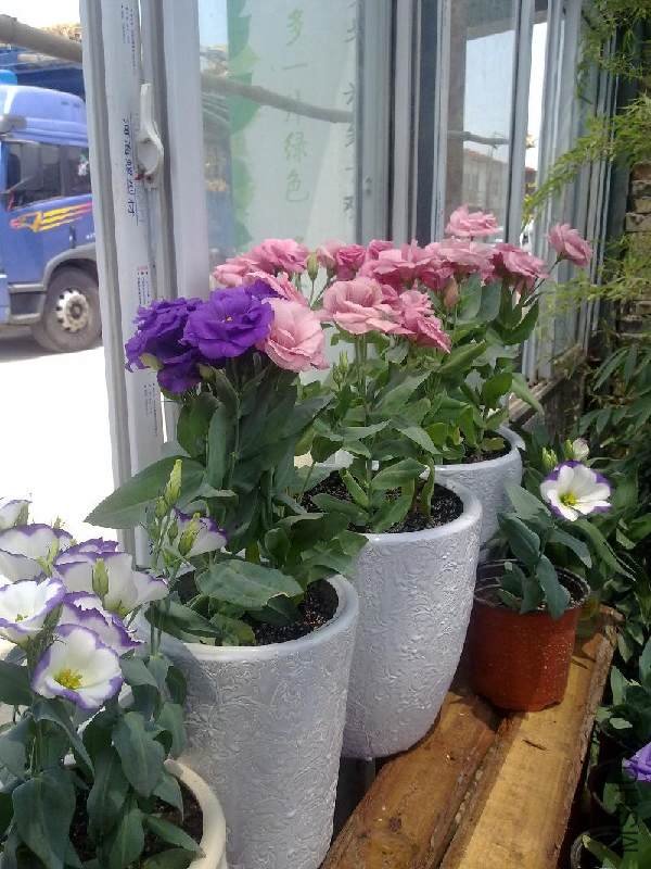 ��ɫ��ߡ���ɫ����ɫ