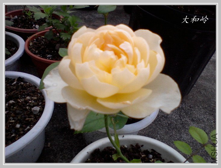 ��Ƭ-0565_����.jpg