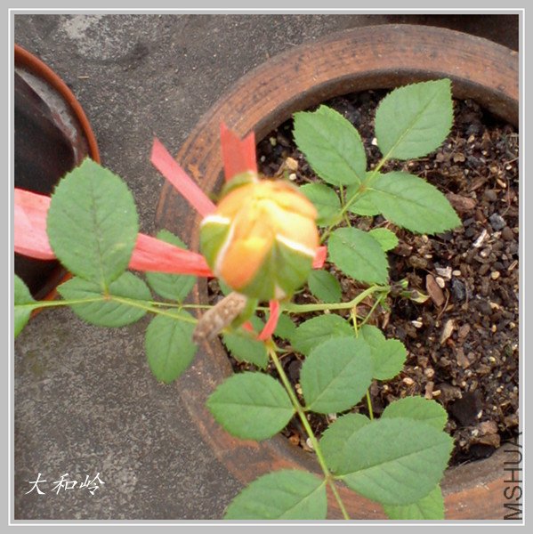 ��Ƭ-0575_����.jpg