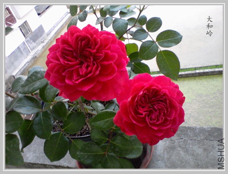 ��Ƭ-0511_����.jpg