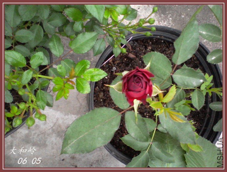 ��Ƭ-0496_����.jpg