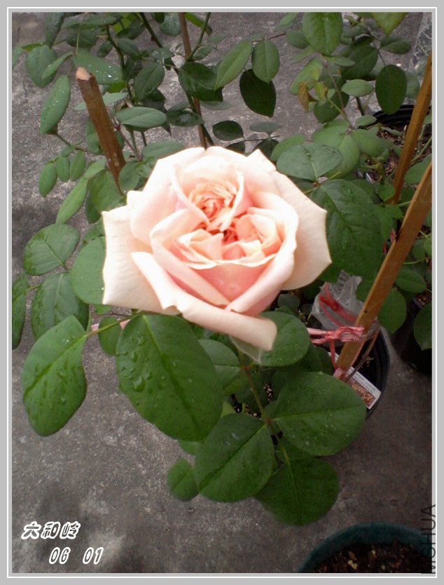 ��Ƭ-0458_����.jpg