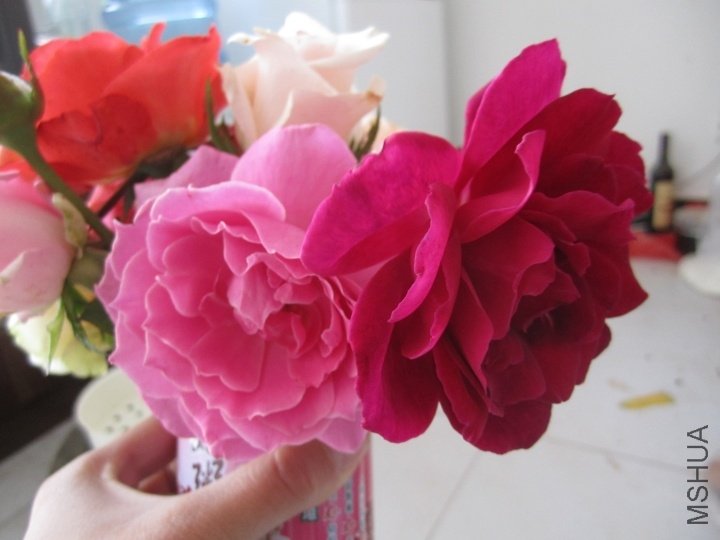 p_large_vfXH_6b84000224525c73.jpg