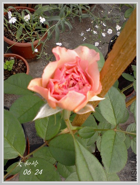 ��Ƭ-0587_����.jpg