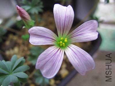 6���￪����