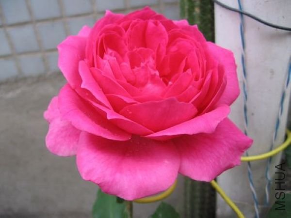 ��Ƭ 018.jpg