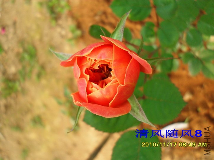 ӡ���� (THE IMPRESSIONIST) (1).jpg