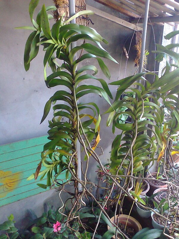 ��Ƭ0560.jpg