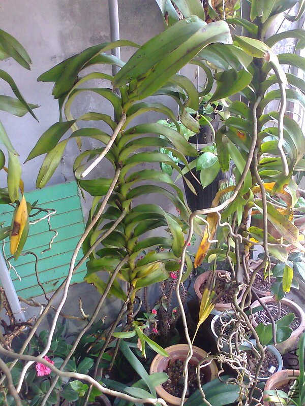��Ƭ0561.jpg