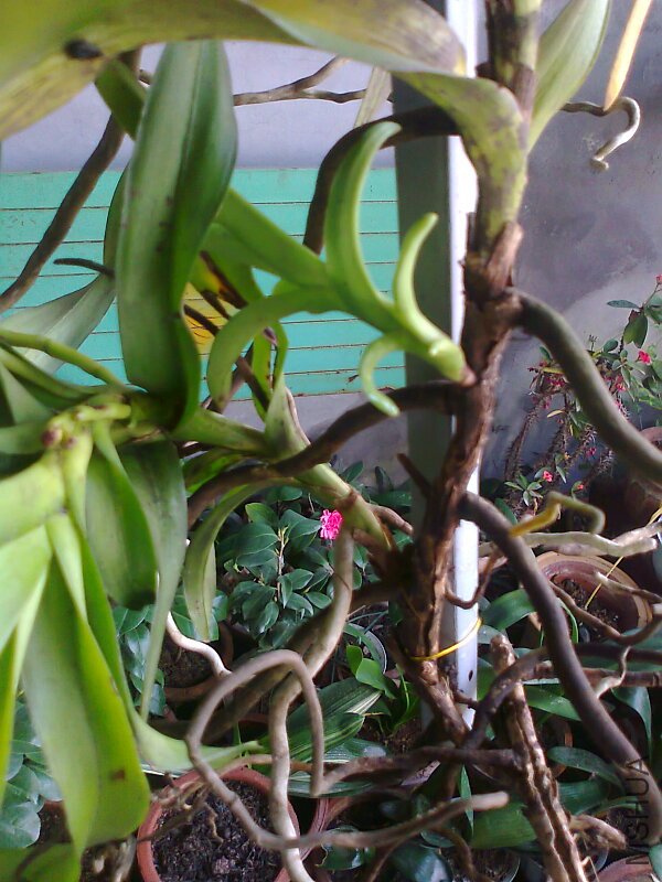 ��Ƭ0566.jpg