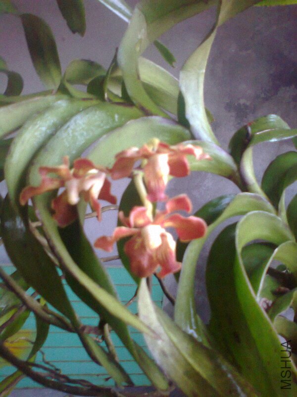 ��Ƭ0570.jpg