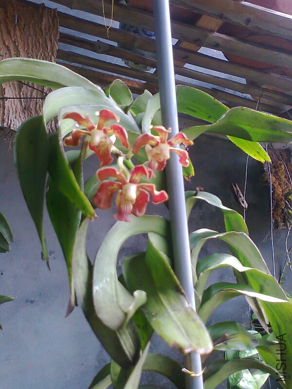 ��Ƭ0571.jpg