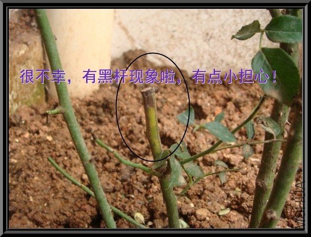 tugai.net.20110626165750.jpg