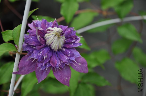 2011.6.25 003.jpg