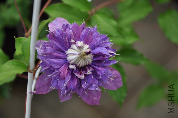 2011.6.25 029.jpg