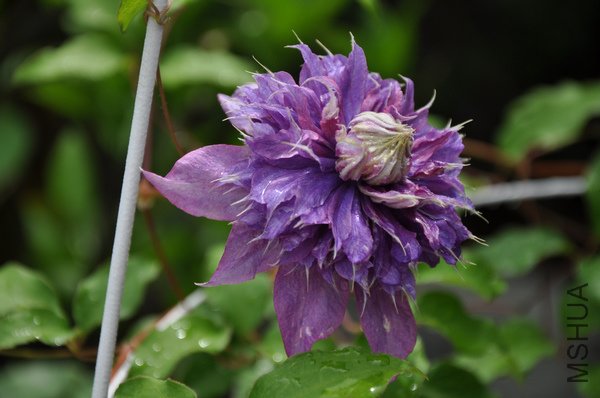 2011.6.25 062.jpg