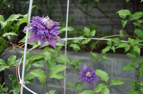 2011.6.25 028.jpg