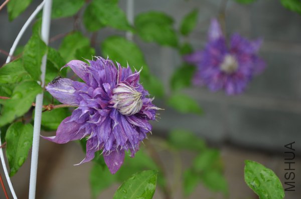 2011.6.25 039.jpg
