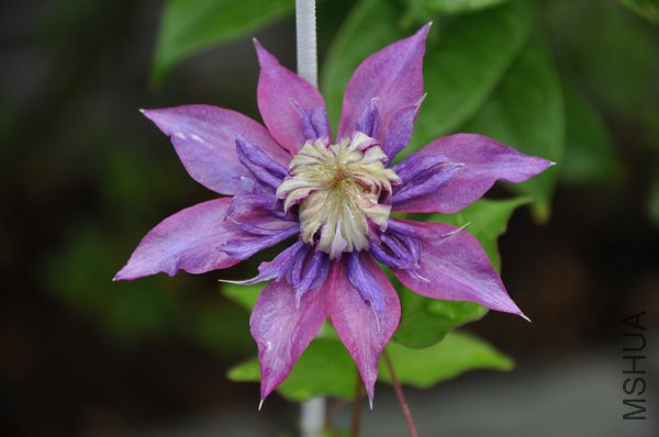 2011.6.25 071.jpg