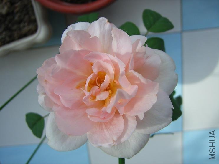 2011.6.25 001.JPG