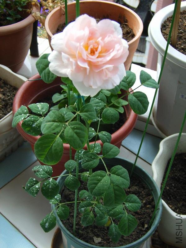 2011.6.25 005.JPG