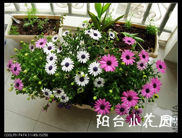 DSCN0045.JPG