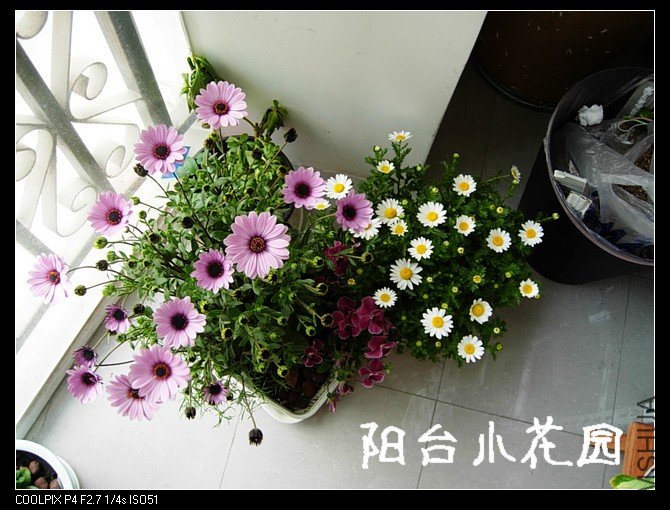 DSCN9966.JPG