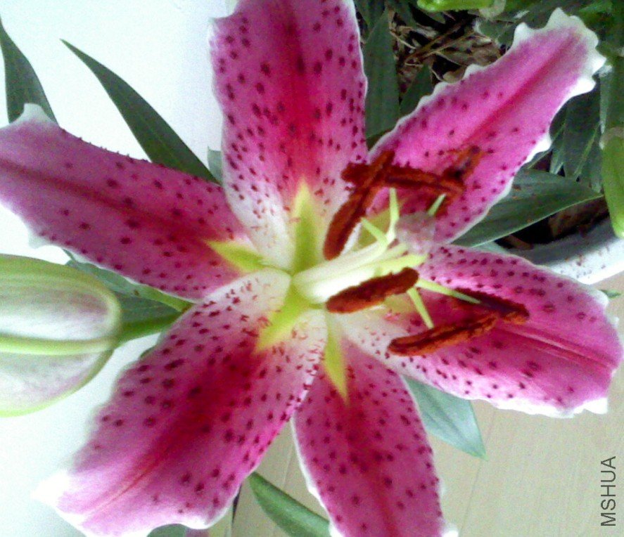 ����.jpg
