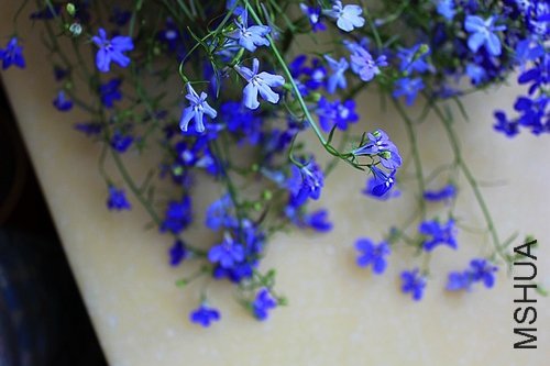 ��Ƭ 045[3].jpg