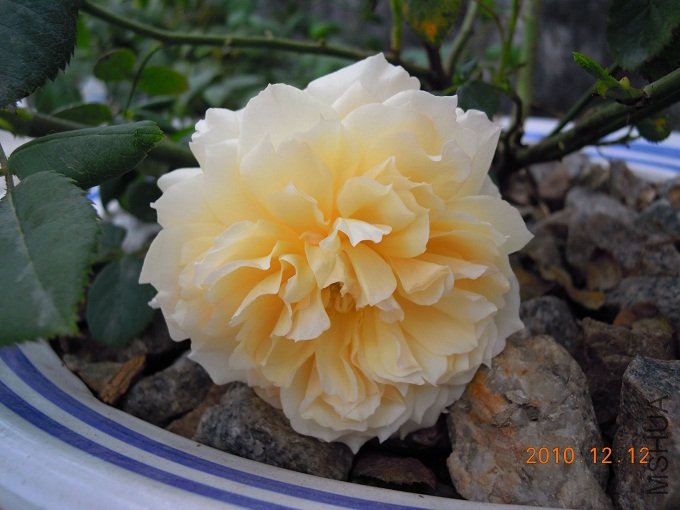 DSCN0066.jpg