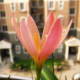 T16WRiXoVBXXbvy1c__105806_jpg_sum.jpg